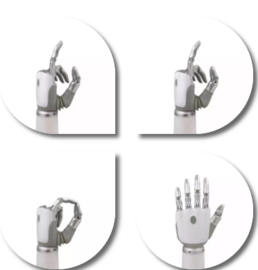 11.PNG