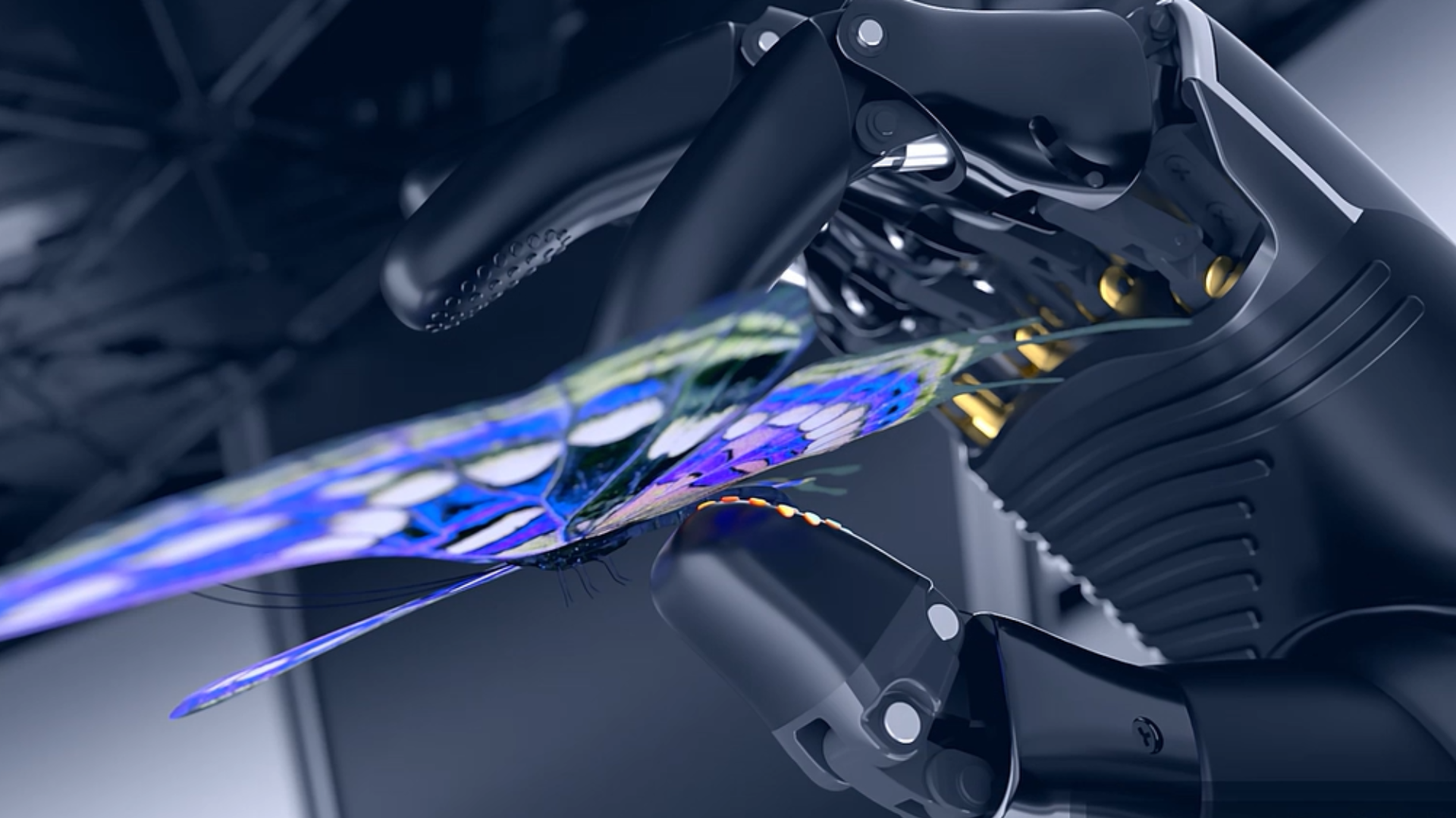 灵巧手和蝴蝶.png 灵巧手和蝴蝶.png